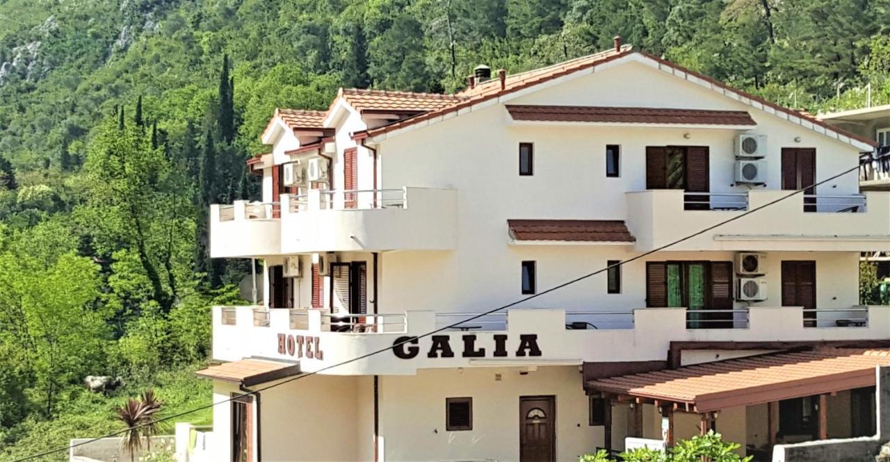 Hotel Galia Kotor Dış mekan fotoğraf
